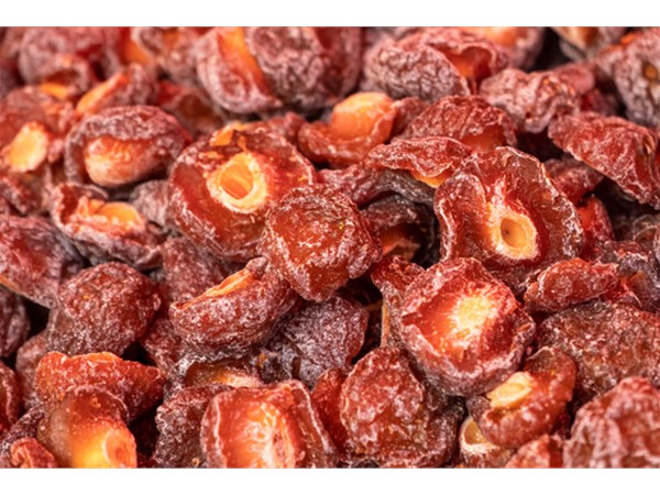 What is the working process of a dried fruit dryer