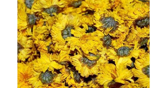 Introduction to Temperature Control Details of Chrysanthemum Drying Room