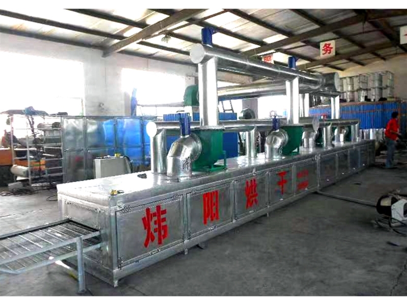 Ice cream stick mesh belt dryer