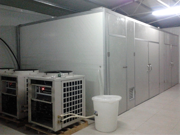 Food belt heat pump dryer